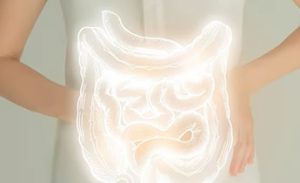 腸内の肌への影響